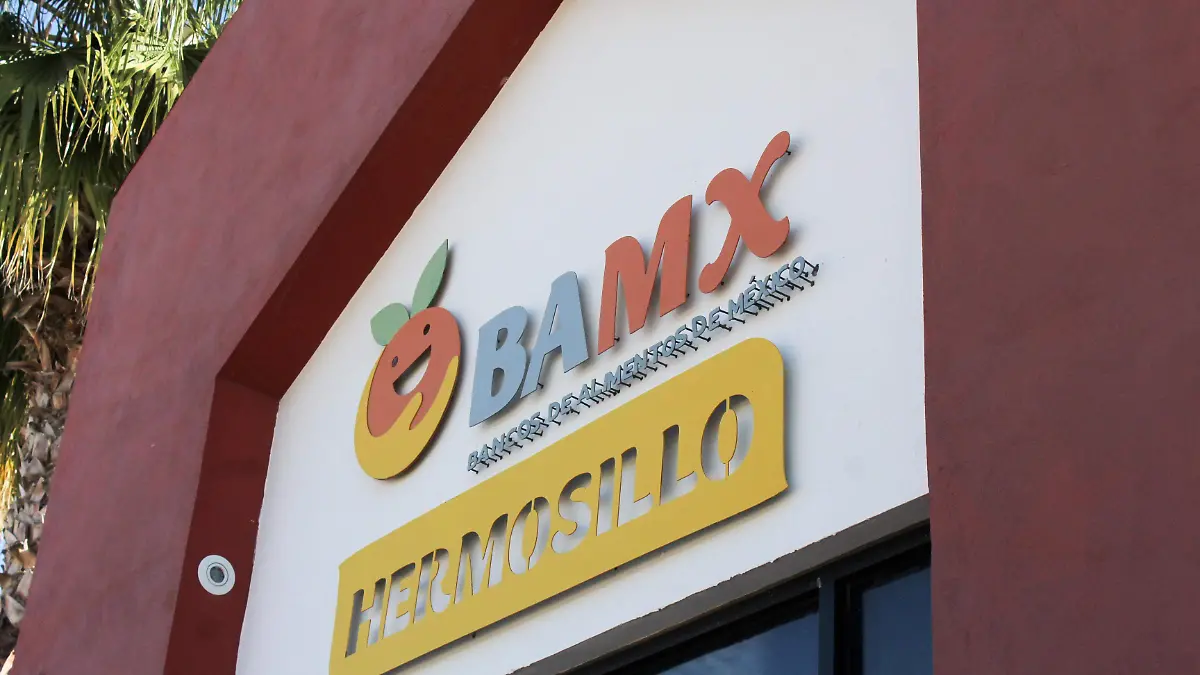 Banco de Alimentos Hermosillo - Mike Acosta (5)